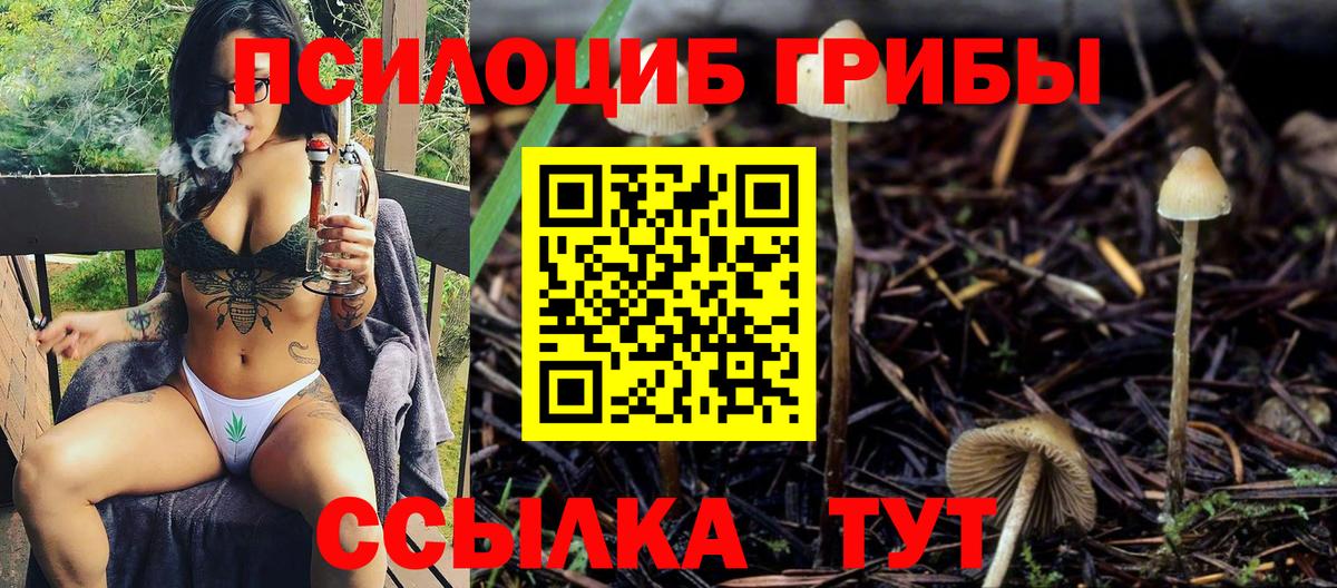 Шали  Галлюциногенные грибы Magic Shrooms  Вход с VPN 