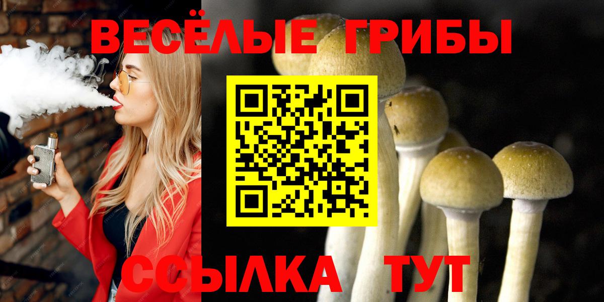 Псилоцибиновые грибы Psilocybe Шали